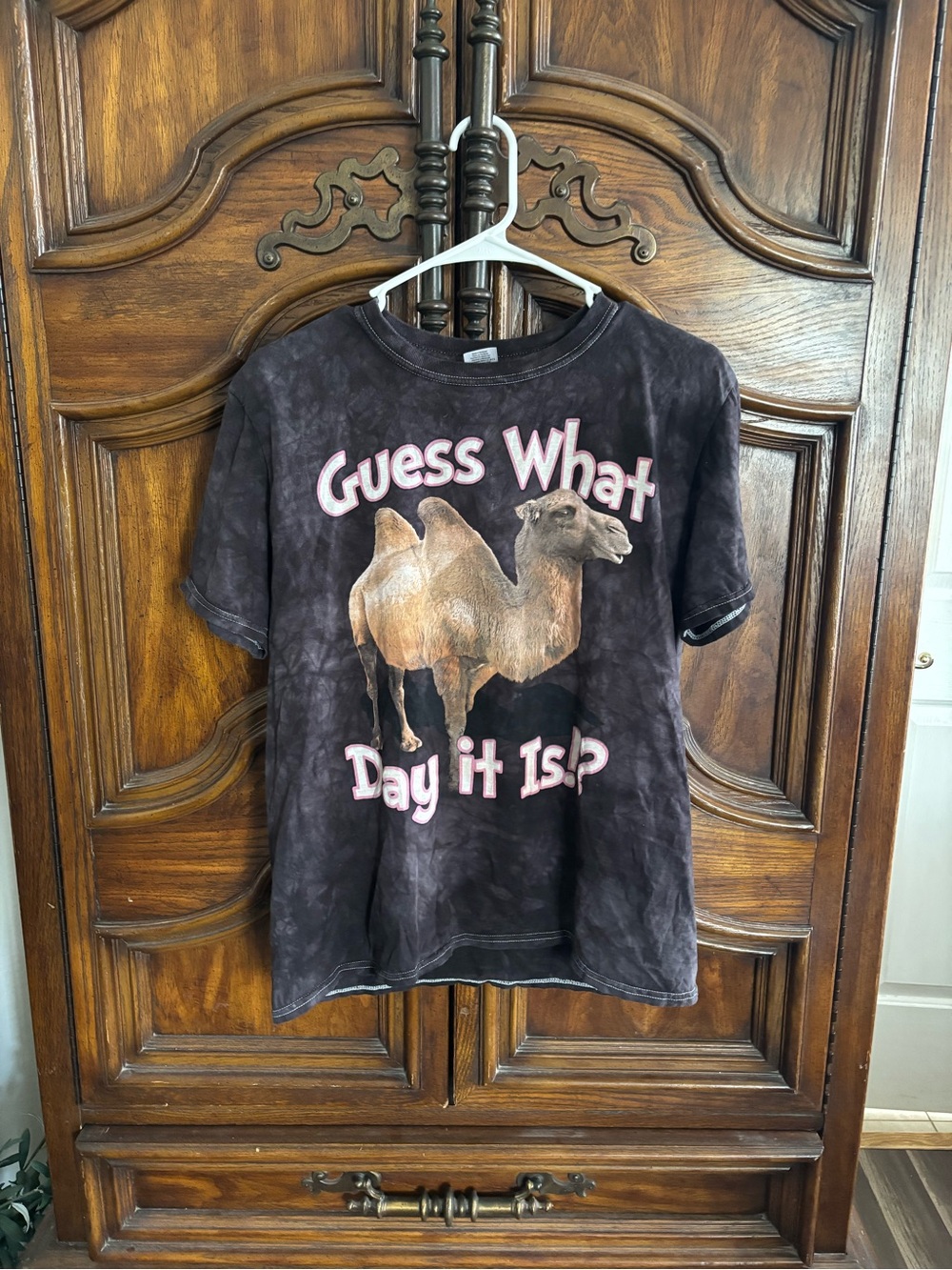 Gildan "guess what day it is?" Camel t-shirt